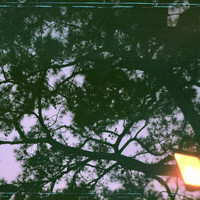 The Field Tapes - Growing Apart & Never On Time
