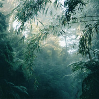 Fantasna - Nsnc