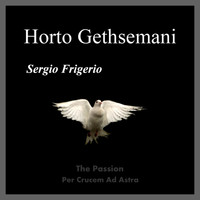 Sergio Frigerio - Horto Gethsemani