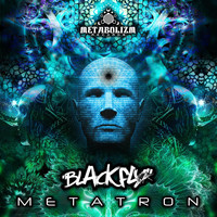 Black Fly - Metatron