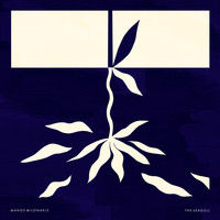 Manos Milonakis - The Seagull