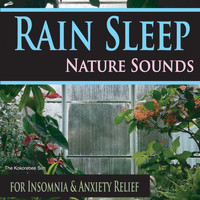 The Kokorebee Sun - Rain Sleep Nature Sounds (For Insomnia & Anxiety Relief) (For Insomnia & Anxiety Relief)