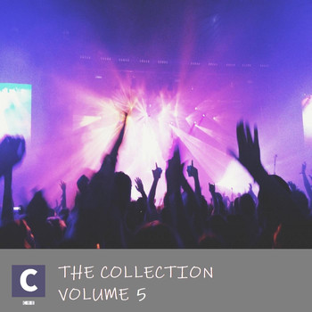 Various Artists - The Collection - Volume 5 (Edits)
