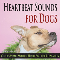 The Kokorebee Sun - Heartbeat Sounds for Dogs (Clocks Mimic Mother Heart Beat for Relaxation)