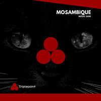 Moog Sane - Mosambique