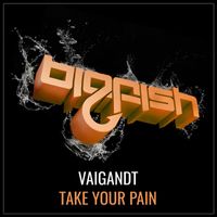 Vaigandt - Take Your Pain