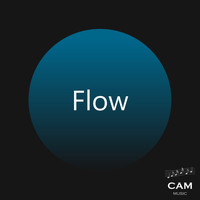 Cam - Flow