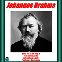 Jean Fournier, Antonio Janigro, Paul Badura-Skoda - Brahms: Piano Trio No. 1