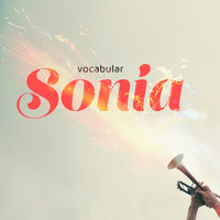 Vocabular - Sonia