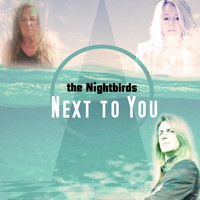 The Nightbirds - Next to You