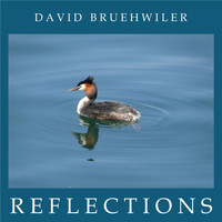 David Bruehwiler - Reflections