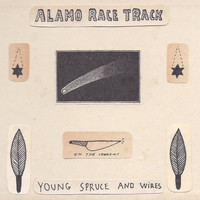 Alamo Race Track - Young Spruce and Wires