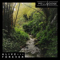 Mellodose - Alive Forever