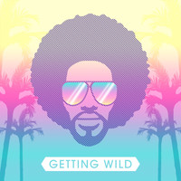 Dj Hertz - Getting Wild