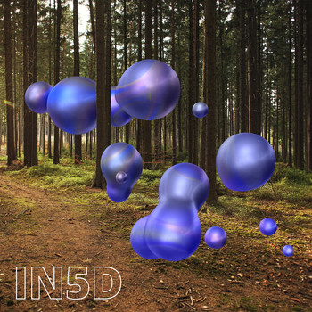 Pleizel - IN5D