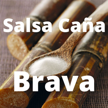 Various Artists - Salsa Caña Brava