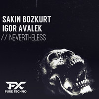 Sakin Bozkurt & Igor Avalek - Nevertheless