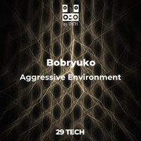 Bobryuko - Aggressive Environment