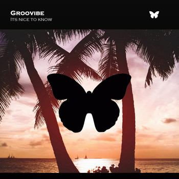 Groovibe - It's Nice to Know