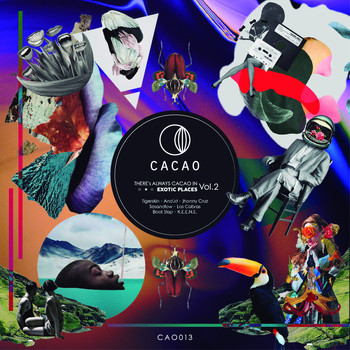Various Artists - There's Always Cacao In Exotic Places, Vol. 2