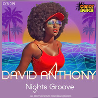 David Anthony - Nights Groove