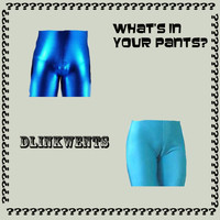 Dlinkwents - What's in Your Pants