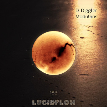 D. Diggler - Modularis