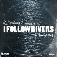 GSP - I Follow Rivers (The Remixes, Vol. 1)