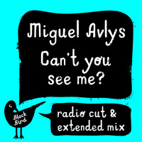 Miguel Avlys - Can't You See Me