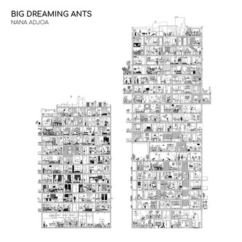 Nana Adjoa - Big Dreaming Ants (Explicit)
