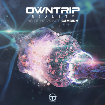OwnTrip, Cambium - Reality