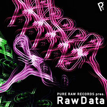 Various Artists - Pure Raw Records presents RawData