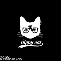 Fantoo - Blessing of Acid