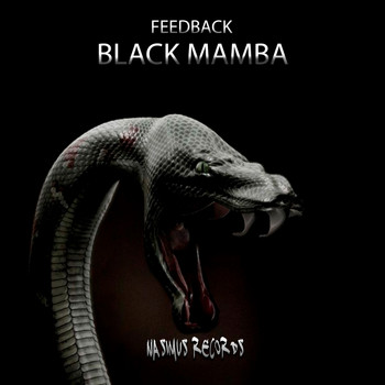 Feedback - Black Mamba