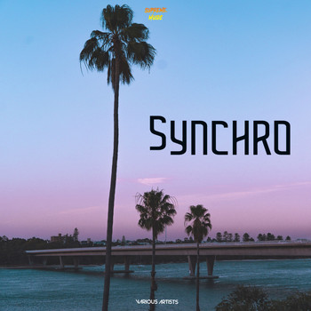Various Artists - Synchro