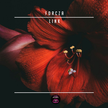 Forcza - Link
