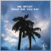 Mr. Heyley - What Did You Say