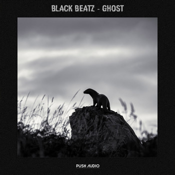 Black Beatz - Ghost