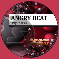 PsykhoFunK - Angry Beat