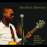 Dung Beetle Music - Sunshine Remixes