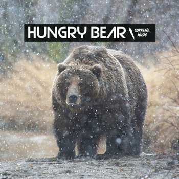 Various Artists - Hungry Bear