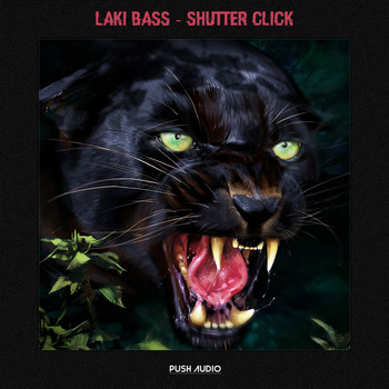 Laki Bass - Shutter Click