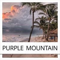 Purple Mountain - Purple Mountain