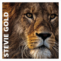 Stevie Gold - Stevie Gold