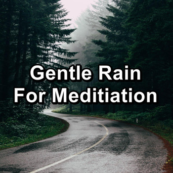 Baby Rain - Gentle Rain For Meditiation