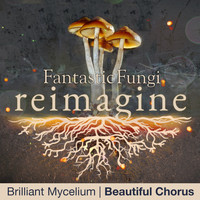 Beautiful Chorus - Brilliant Mycelium (Fantastic Fungi: Reimagine)