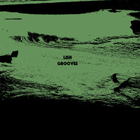 Lish Grooves - Streaming