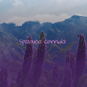 Various Artists - Spaixico Corrida