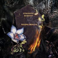 Régina Demina - Pyromane Remixes