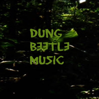 Dung Beetle Music - What Have We Done
